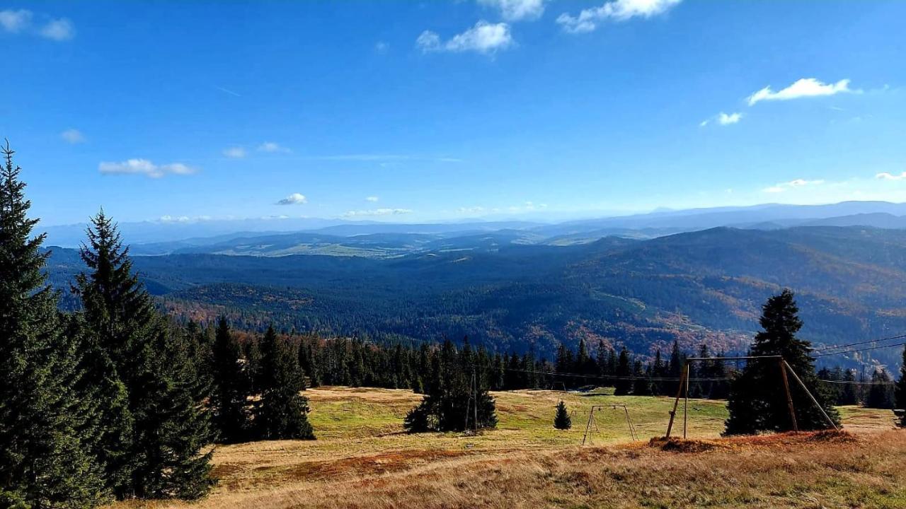 Pokoje Pod Szyndzielnia Bielsko-Biała Exterior photo